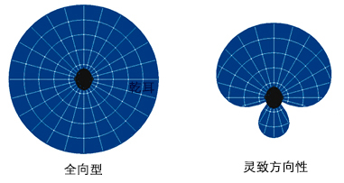 Acuity OS 靈致方向性